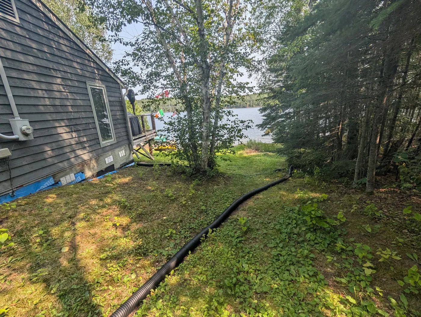 The cottage exterior from the side, among the trees.