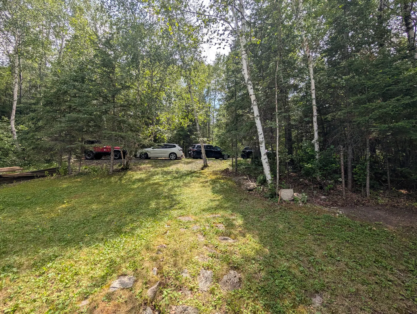 Open lawn running between mature trees across the property.