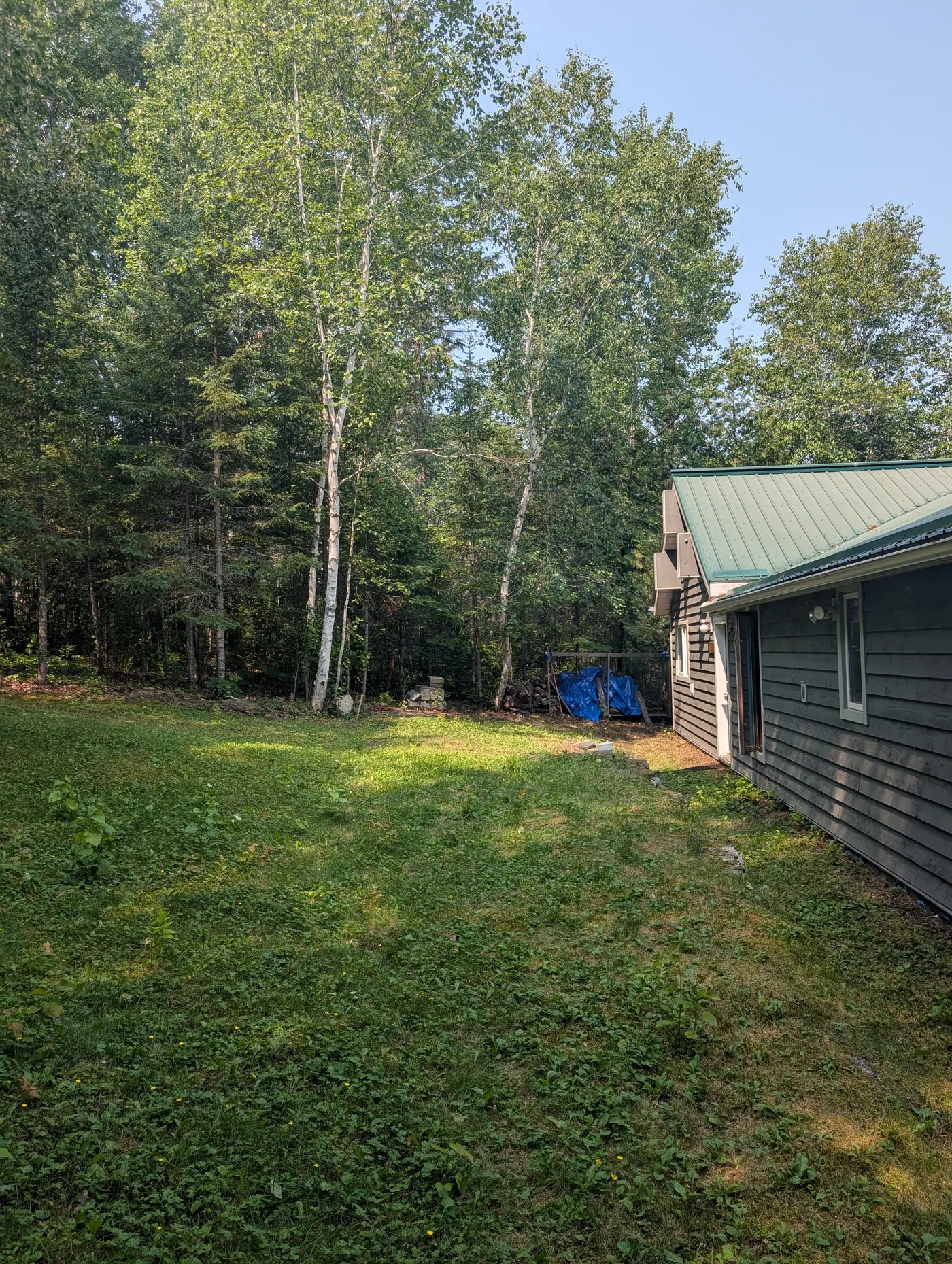The property from the lawn, showing its width and mature trees.
