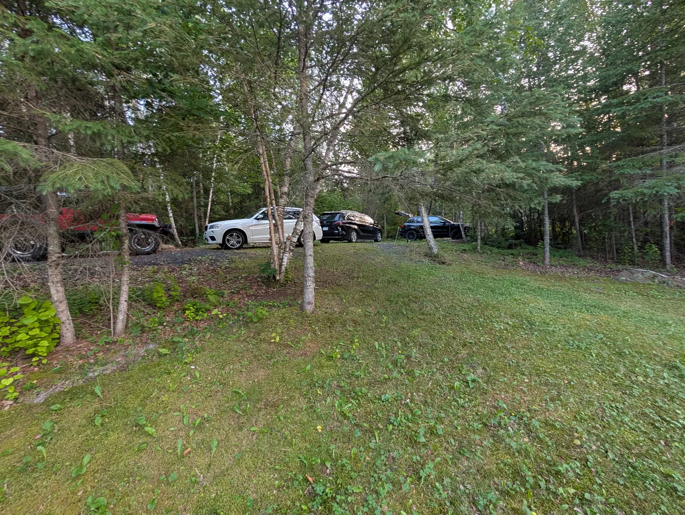 Level open ground under the trees toward the road side of the property.