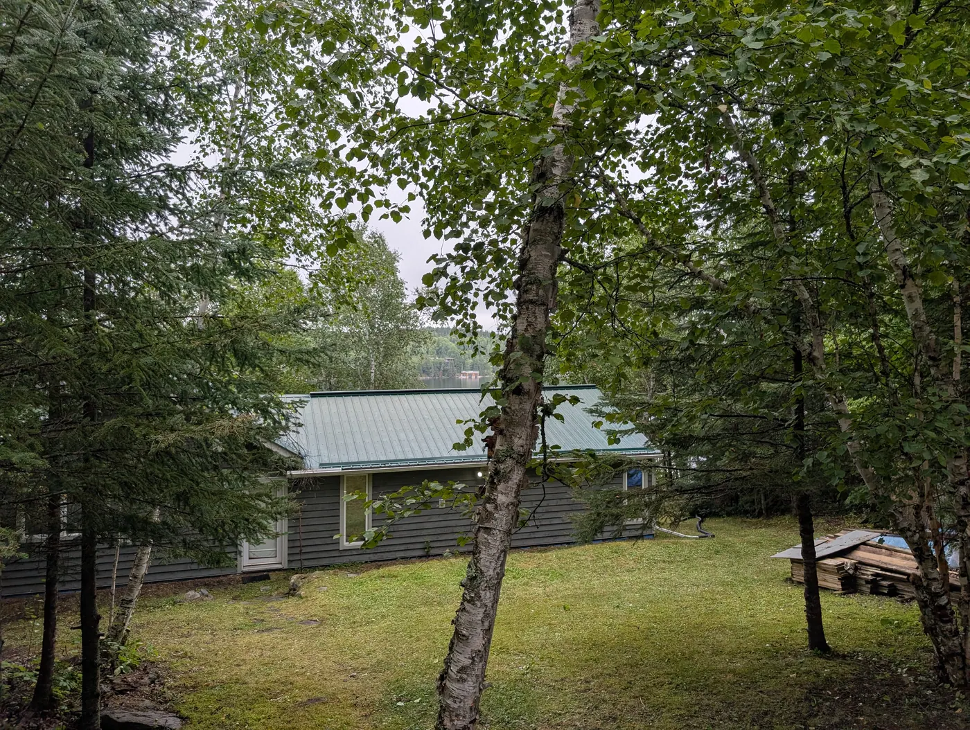 The cottage seen through mature birch trees.