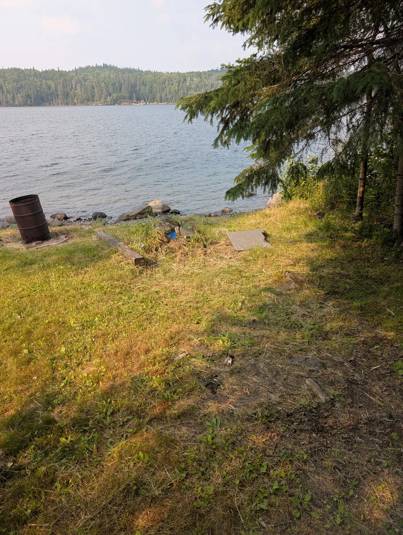 Grass and trees running down to the water’s edge.